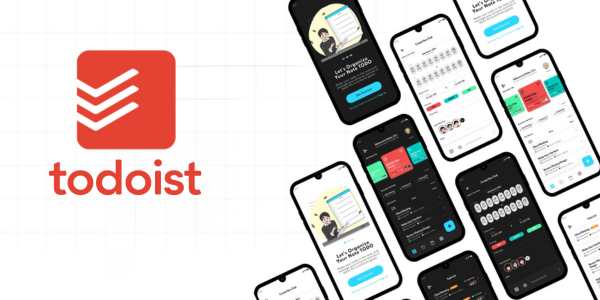 Todoist App