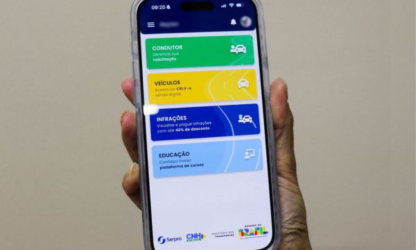 App-for-checking-vehicle-information-(Source-Google)