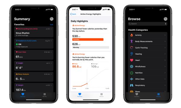 Apple-Health-features-(Source-Google)
